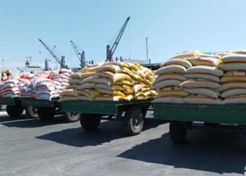 La sécurité alimentaire pour la majorité des Malagasy ne veut pas dire : développement de l’importation de riz, SVP!