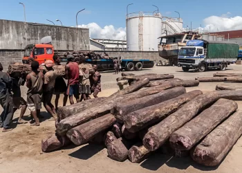 Exploitation des ressources naturelles de Madagascar : Un manque d’intelligence flagrant