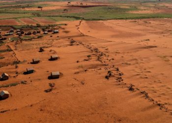 Madagascar: Un Oasis Stérile