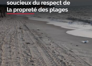 Les sauvages resteront des sauvages : quand l’irresponsabilité humaine souille nos plages