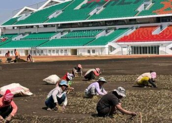 Rajoelina Transforme Le Stade Des Barea En Plantation D’Artemisia