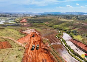 Biodiversité en péril : Madagascar à la croisée des chemins face à un projet destructeur