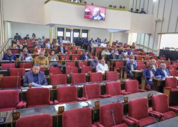 Pourquoi maintenir une Assemblée Nationale qui ne sert à rien ? Pourquoi continuer à engloutir des milliards d’ariary chaque année dans une institution que le pouvoir exécutif méprise et contourne allègrement ?