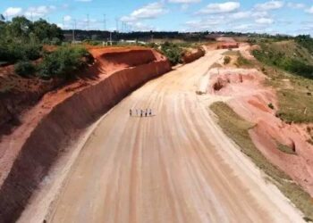 On vend nos forêts pour une autoroute : trahison au sommet de l’État
