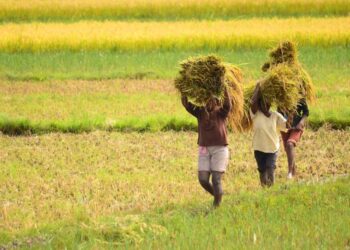 Madagascar : un vent d’espoir, un appel à la patience et à l’unité