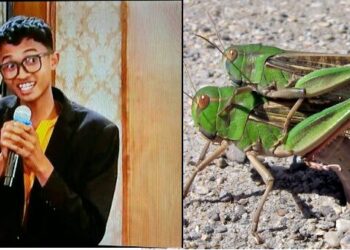 L’école primaire n’est pas un lieu où l’on se spécialise immédiatement : elle est un socle commun, une préparation à toutes les carrières possibles. Supprimer une matière sous prétexte qu’elle ne correspond pas à un futur métier serait ignorer que l’éducation est avant tout un outil pour construire des compétences transférables et une culture générale solide