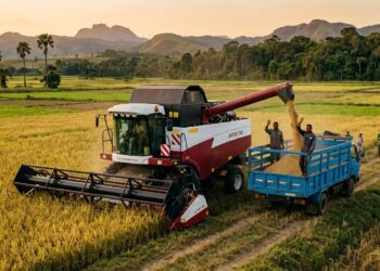 L’industrialisation du secteur agricole malgache via un partenariat avec Moscou n’est pas un choix idéologique, mais un impératif pragmatique.