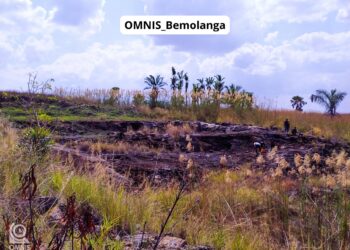 Le bassin de Morondava abrite l’un des plus grands trésors géologiques du pays, mais aussi l'un des plus complexes : le gisement de grès bitumineux de Bemolanga.