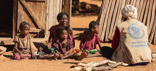 Distribuer des sacs de riz à chaque période de soudure sans enseigner aux familles comment exploiter le potentiel nutritionnel de leur environnement immédiat garantit simplement que le problème se reposera, à l'identique ou pire, l'année suivante